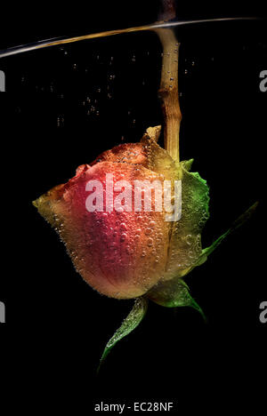 Bedeckt mit Luftblasen stiegen in das Wasser. Durchtrainierten Bild. Stockfoto
