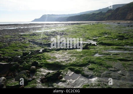 Robin Hoods Bay, Küsten Bucht mit einem Jura-Klippe Küste bei Ebbe an einem schönen Tag im Herbst, North Yorkshire, Oktober Stockfoto