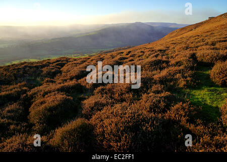 Bamford Edge abgedeckt in braun, nachdem das Heidekraut abgestorben ist. Bamford Edge im Peak District National Park, Derbyshire Stockfoto