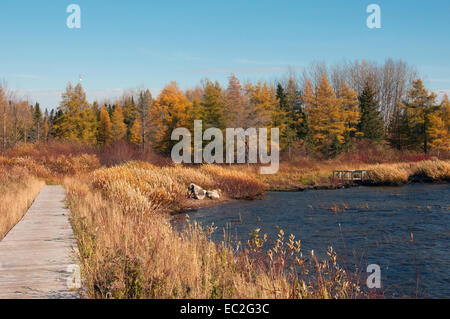 Cree indigenen Gemeinschaft von Mistissini Cree Gebiet von James Bay Nordost-Quebec Kanada Stockfoto