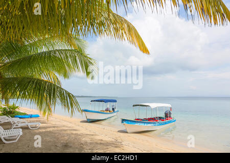 Boote am Strand Seestern, Archipel Bocas del Toro, Panama Stockfoto