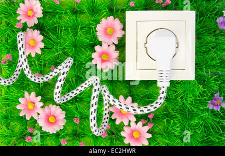 Steckdose mit Strom Stecker auf dem grünen Rasen mit Blumen Stockfoto