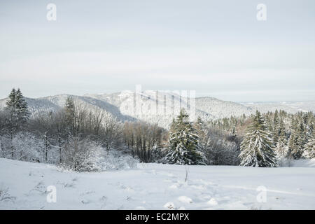 Schneelandschaft in Vogesen Stockfoto