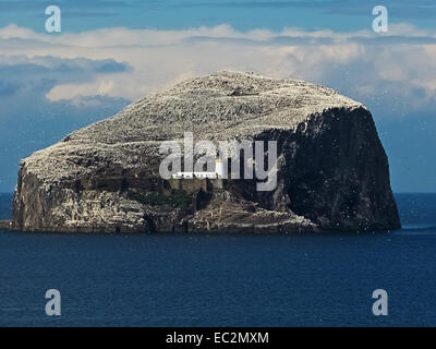 Bass Rock vor der Küste von Schottland neben North Berwick. Stockfoto