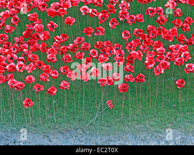 Detail von Blut Mehrfrequenzdarstellung Länder und Meere von roten Mohnblumen, bei The Tower of London, England UK Stockfoto