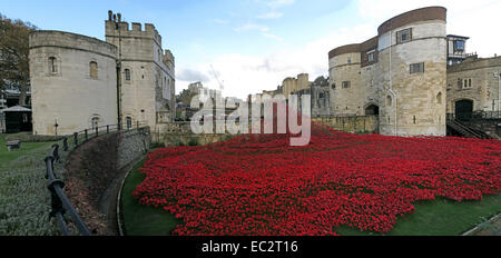 Blut Mehrfrequenzdarstellung Länder und Meere von roten Mohnblumen, bei The Tower of London, England UK Stockfoto