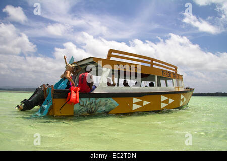 Nylon Pool, Tobago Karibik Antillen Stockfoto