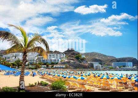 Kanarische Resort, Strand von Puerto Rico Stockfoto