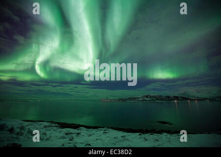 Nordlichter in Sommaroy, Kvaloya, Tromvik, Troms, Norwegen Stockfoto