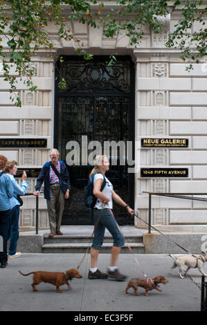 Frauen gehen Hunde auf der 5th Avenue im Central Park vor neuen Galerie, Manhattan, New York City. USA. Die meisten Menschen, die eigene pe Stockfoto