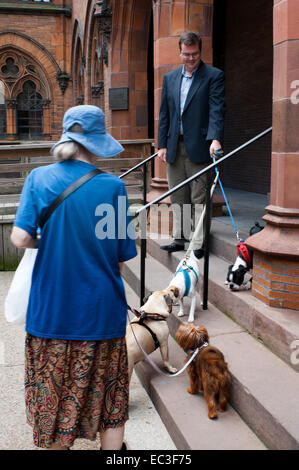 Hund Hunde in New York City Wanderer. Manhattan Pfoten Hauptinteresse ist die allerbeste NYC Hunde zu versorgen. "Leute, die ich Stockfoto