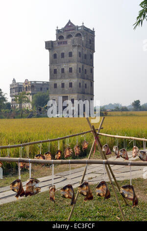 Kaiping Diaolou und Dörfer wurden im Jahr 2007 in die Liste des UNESCO-Weltkulturerbes hinzugefügt. Stockfoto