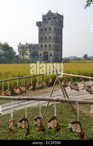 Kaiping Diaolou und Dörfer wurden im Jahr 2007 in die Liste des UNESCO-Weltkulturerbes hinzugefügt. Stockfoto