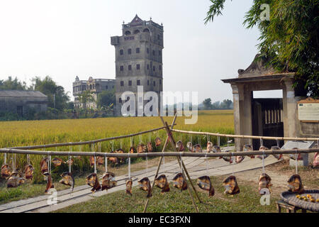 Kaiping Diaolou und Dörfer wurden im Jahr 2007 in die Liste des UNESCO-Weltkulturerbes hinzugefügt. Stockfoto