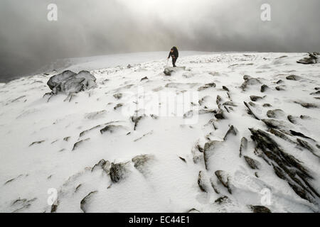 Bei starkem Wind auf Stift Yr Ole Wen Trekker. Bereich Carneddau, Snowdonia National Park, UK. Stockfoto