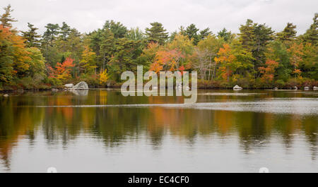 Wellen auf Frog Pond Park, Halifax, Nova Scotia, Kanada Stockfoto