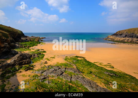 Golden Sand Poldhu Strand Süd Cornwall England UK mit Blau des Meeres und des Himmels auf der Lizard Halbinsel Stockfoto