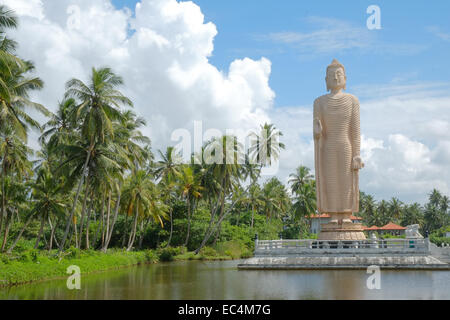 Sri Lanka. 9. Dezember 2014. Riesige Buddha-Statue, bekannt als Tsunami Honganji Vihara in Weiler von Peraliya, nördlich von Hikkaduwa, Sri Lanka Süd. Finanziert durch japanische Spenden als Denkmal für mehr als 1.700 in Peraliya ihr Leben verloren, als das Colombo, Galle Zug vom Tsunami getroffen wurde neben der Bahnlinie gelegen.  Laut National Disaster Management Centre über 40.000 kamen ums Leben und mehr als 15.000 Weihnachtstag Tsunami verletzt. Ein großer Prozentsatz der Todesfälle waren Fischer, und 66 % der Fischereiflotte wurde ausgelöscht. © Paul Quayle/Alamy Live-Nachrichten Stockfoto