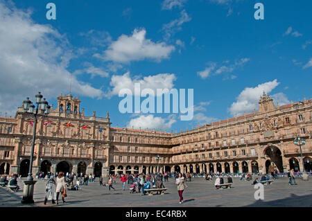 Die Plaza Mayor von Salamanca mit dem Rathaus (Kastilien-Leon)-Spanien-Spanisch Stockfoto