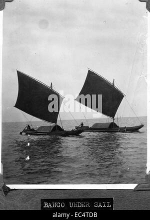 Dieses Bild aus dem Highfill-Album zeigt die registrierten AL-135-Flugzeuge, die ihre Rolle im Luftverkehr und ihre historische Bedeutung zeigen. Stockfoto