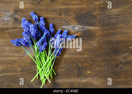 Hyazinthe auf hölzernen Hintergrund, Blumen. Ansicht von oben Stockfoto