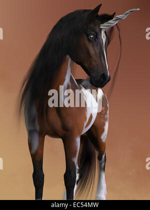 Eine Bucht Pinto Einhorn hat die kleinen Körper und feinen Gesichtszüge der Araber Rasse. Stockfoto