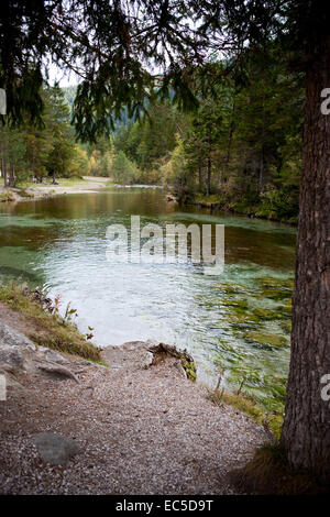 Lago di Dobiacco, Toblacher See InDolomite Alpen, Italien, Europa Stockfoto