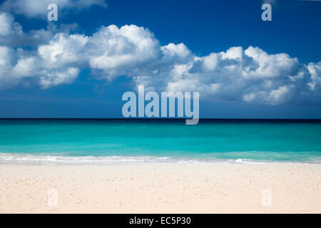 Weißer Sandstrand am Eagle Beach in der Nähe von Oranjestad, Aruba, West Indies Stockfoto