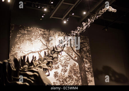 Salt Lake City, Utah - The Natural History Museum of Utah am Rio Tinto Center auf dem Campus der University of Utah. Stockfoto