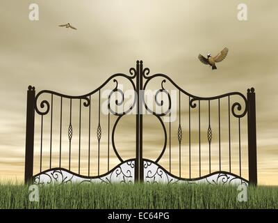 Ein Vintage schwarze geschlossene Tor in der Natur mit zwei Vögel fliegen herum durch braune bewölkten Tag Stockfoto