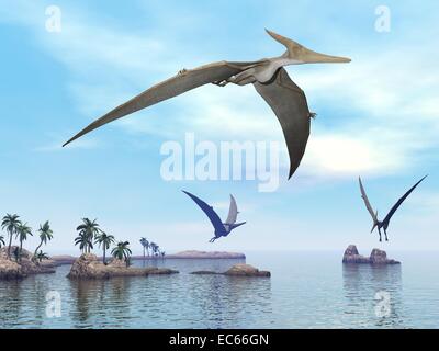 Drei Pteranodon Dinosaurier fliegen auf Landschaft mit Hügeln, Palmen und Wasser im Wolkenhimmel Sonnenuntergang Stockfoto