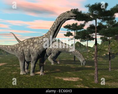 Argentinosaurus Dinosaurier Essen bei Sonnenuntergang an der Spitze eines Baumes Stockfoto