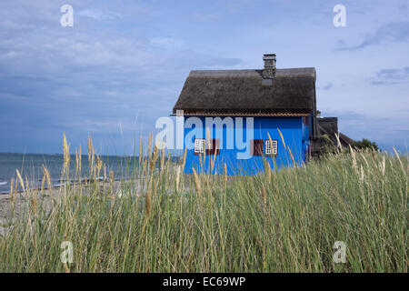 Reetgedeckte Häuser, Heiligenhafen-Graswarden, Landkreis Ostholstein, Schleswig-Holstein, Deutschland, Europa Stockfoto