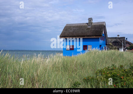 Reetgedeckte Häuser, Heiligenhafen-Graswarden, Landkreis Ostholstein, Schleswig-Holstein, Deutschland, Europa Stockfoto