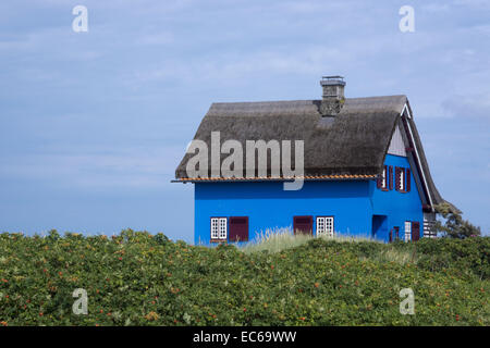 Reetgedeckte Häuser, Heiligenhafen-Graswarden, Landkreis Ostholstein, Schleswig-Holstein, Deutschland, Europa Stockfoto