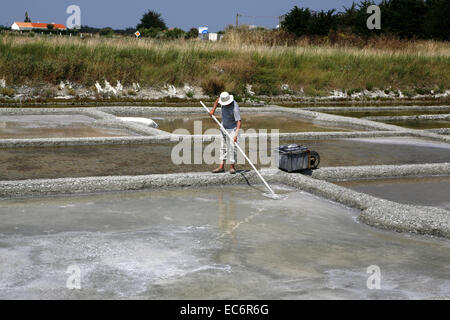 Arbeiter ernten von Meer Salz Salz-Sumpf Salinas Frankreich Noirmoutier Insel Meer Salzproduktion Salz Produktion Salzernte Stockfoto