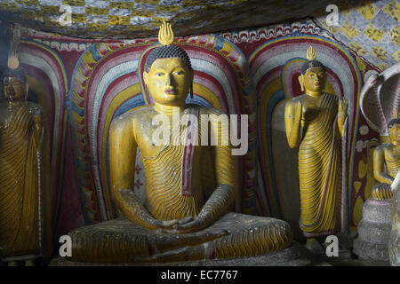 Antike Buddha-Statuen in Dambulla Felsentempel in Sri Lanka Stockfoto