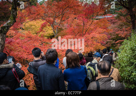 Tofuku-Ji-Tempel, Kyoto, Japan. Stockfoto