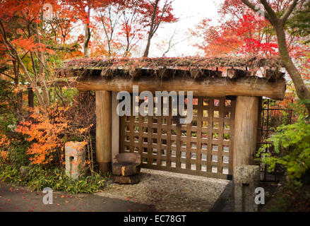 Japanischer Garten Eingang bei den Ahorn-Korridor, Kawaguchiko, Japan. Stockfoto