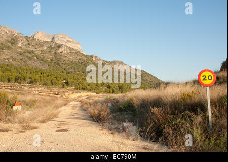 Natur wieder seinen Platz in einer verlassenen Immobilien-Projekt Stockfoto