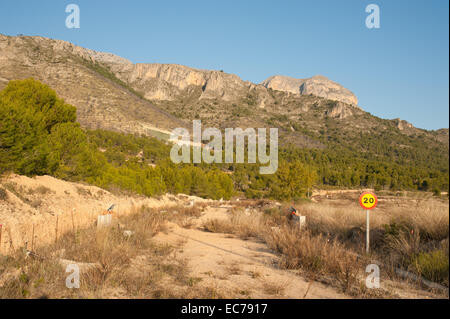 Natur wieder seinen Platz in einer verlassenen Immobilien-Projekt Stockfoto