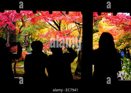 Tofuku-Ji-Tempel, Kyoto, Japan. Stockfoto