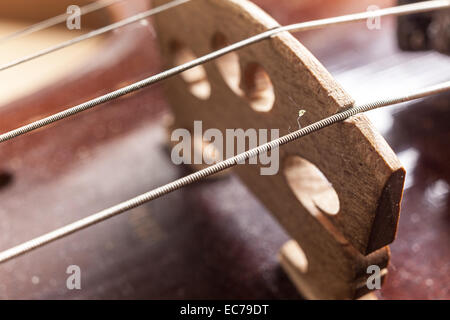 Makro-Ansicht auf Violine Streicher und Violine Körper. Stockfoto