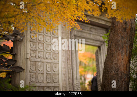 Japanischer Garten Eingang bei den Ahorn-Korridor, Kawaguchiko, Japan. Stockfoto