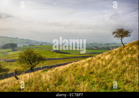 Mit Blick auf Malhamdale von oben Malham Cove in den Yorkshire Dales National Park Stockfoto