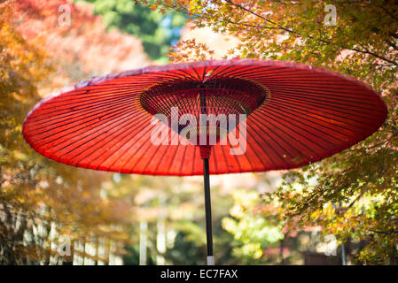 Ein Sonnenschirm, umgeben von herbstlichen Laub an Takao in der Nähe von Kyoto, Japan. Stockfoto