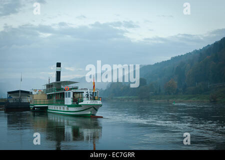 Fähre in der Natur zu reservieren, Saechsische Schweiz im dunklen blau, Deutschland, Sachsen Stockfoto