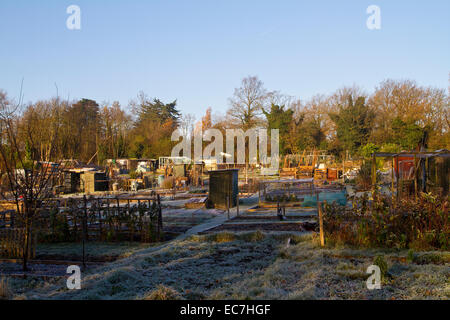 Zuteilung an einem Wintermorgen in Croydon Stockfoto