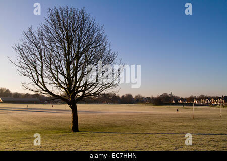 Wintermorgen in Lloyd Park Croydon Stockfoto