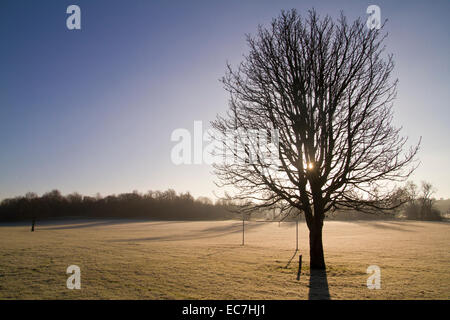 Wintermorgen in Lloyd Park Croydon Stockfoto